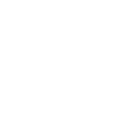 ƬL^(q)